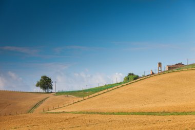 İtalya, Toscany 'nin kırsal kesiminde manzara