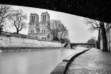 Paris 'teki Notre Dame