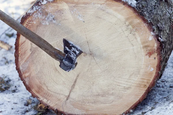 Axe and log isolated in nature