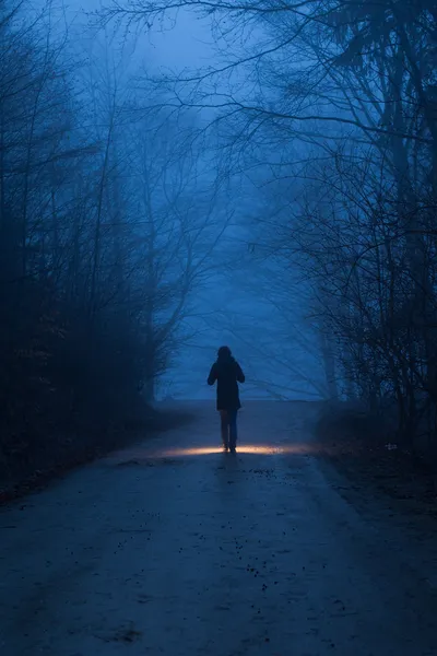 Uma pessoa com luz na floresta à noite — Fotografia de Stock