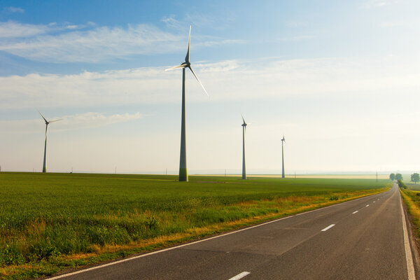 Wind power field with road