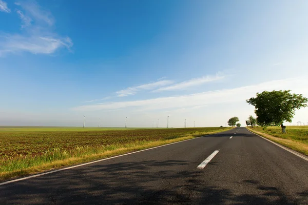 Campo de energia eólica com estrada — Fotografia de Stock