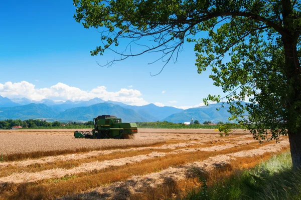 Ein roter Harvester bei der Arbeit mit Bergen im Hintergrund — Stockfoto