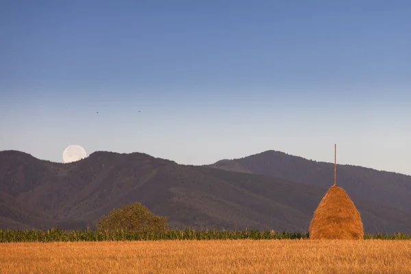 Typical Romanian haystacks with full moon in background over mou — Stock Photo, Image