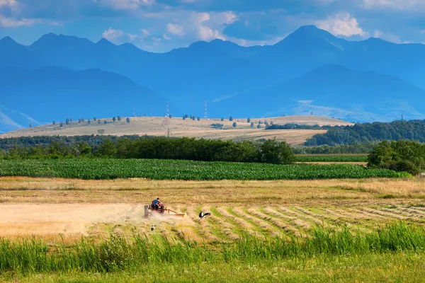 La agricultura a pequeña escala con tractor y arado en el campo con cigüeña y — Foto de Stock