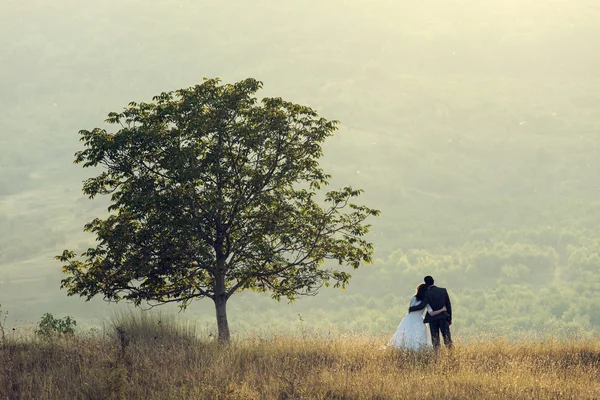 Junges Hochzeitspaar hält neben einem Baum — Stockfoto