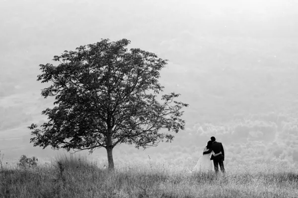 Joven pareja de boda sosteniendo cerca de un árbol, blanco y negro — Foto de Stock