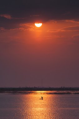 Fishermen on sunrise on the lake clipart