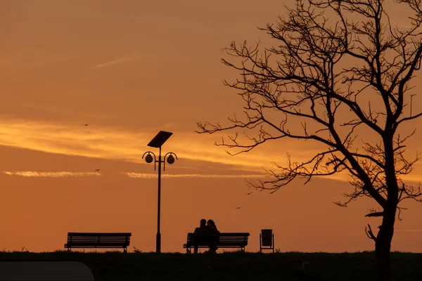 Casal romântico em um banco no pôr do sol sob uma árvore — Fotografia de Stock