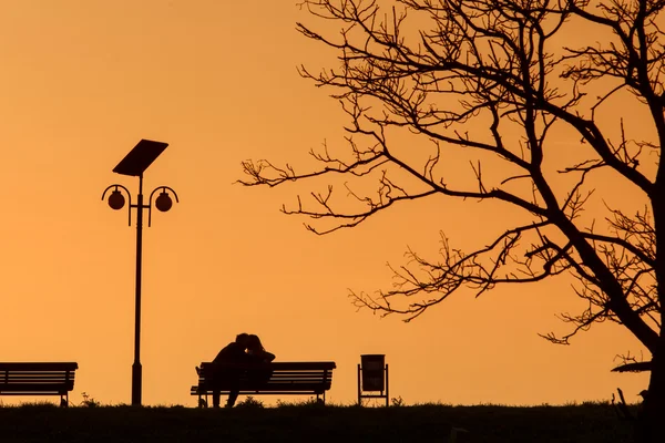 Romantisch paar op een bankje op zonsondergang onder een boom — Stockfoto