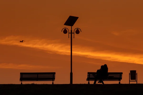 Romantisch paar op een bankje op zonsondergang met vogel met het vliegen — Stockfoto