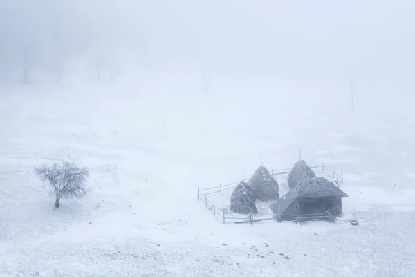 Antigua casa de campo en invierno con un solo árbol —  Fotos de Stock