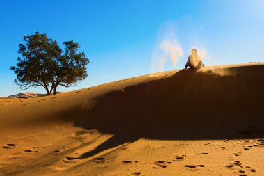 oynama ve çöl kumları ile fırlatma berber sahara, creatin
