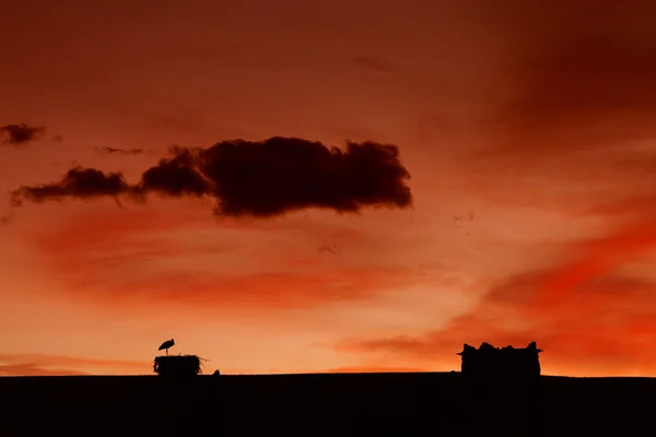 Silhouet van traditionele torens in Marokko ait benhaddou — Stockfoto