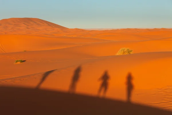 Silhouette of people on dunes in desert — Stock Photo, Image