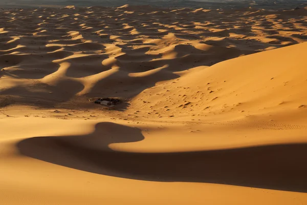Campo berbere no deserto do Saara, Marrocos — Fotografia de Stock