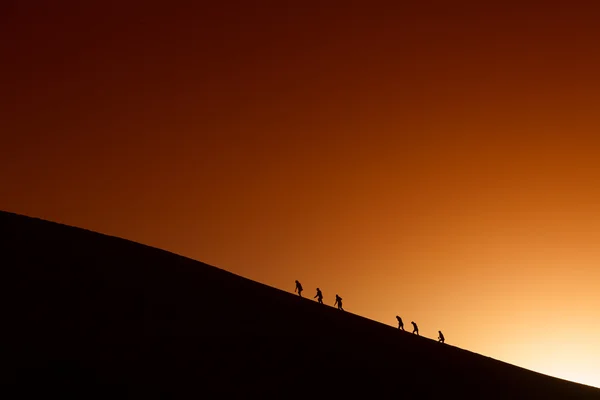 Siluetas de un equipo en la cima de la montaña. Deporte y vida activa — Foto de Stock