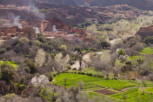 Старый город в Марокко с мечетью на заднем плане и зеленым ландшафтом — стоковое фото