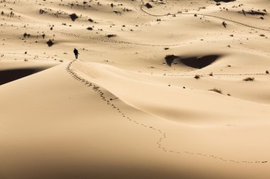 çöl dunes üzerinde yürüyen adam