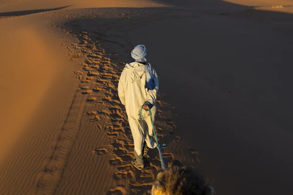 Berber adam çöl üzerinde yürüyor — Stok fotoğraf