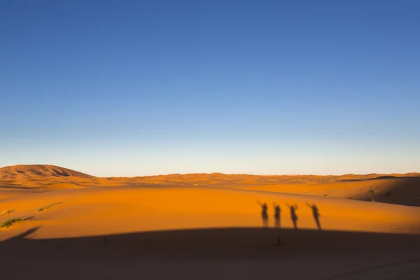 Shadows of happy people on dunes, Desert Sahara Morocco, Africa — Stock Photo, Image