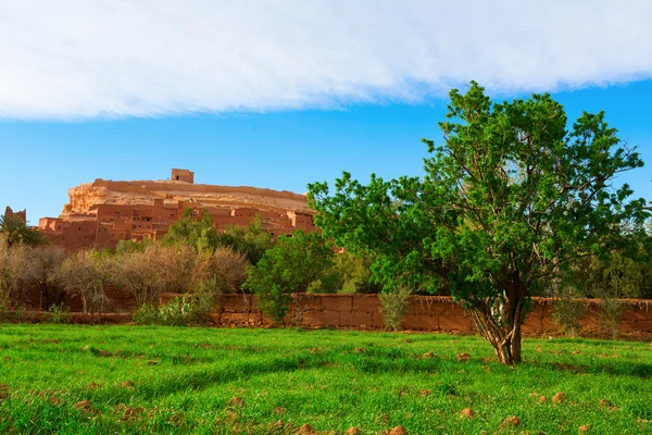 Città fortificata (Ksar) con case di fango nella Kasbah Ait Benhaddo — Foto Stock