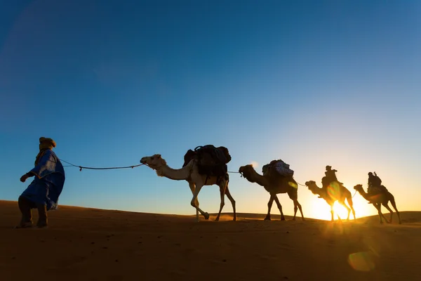 Camel caravan going through the desert — Stock Photo, Image