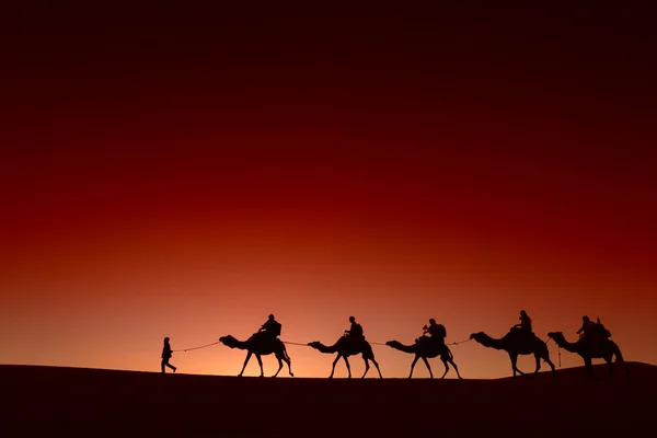 砂漠を通って行くラクダのキャラバン — ストック写真