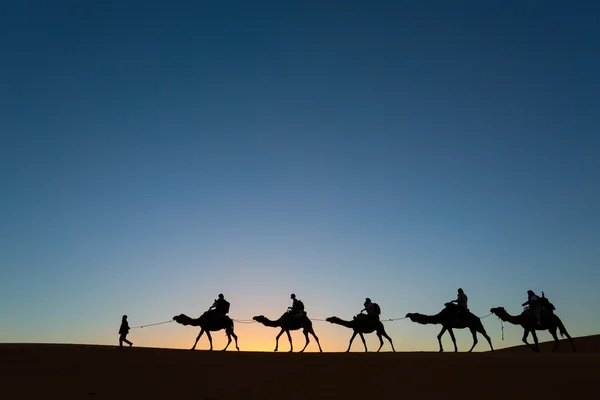 Camel caravane traversant le désert — Photo