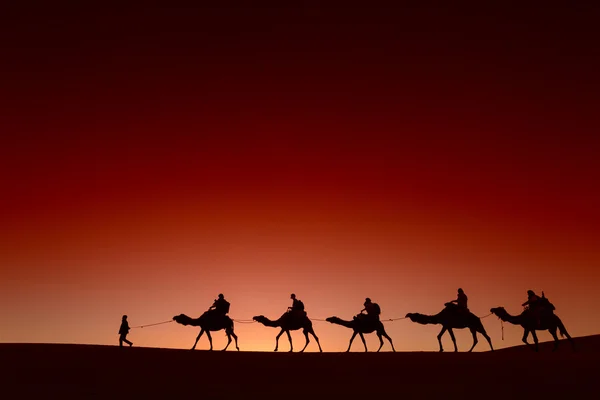 Караван верблюдов, идущих через пустыню — стоковое фото