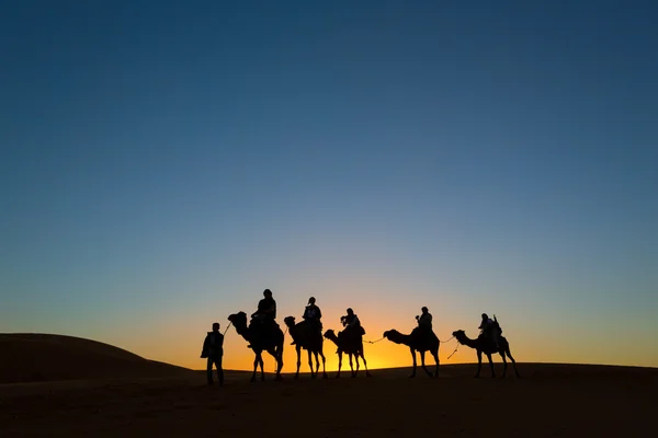 Camel caravan going through the desert — Stock Photo, Image