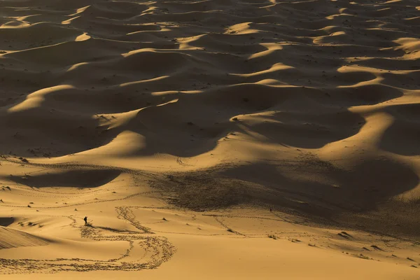 Чоловік ходить по дюнах у пустелі — стокове фото