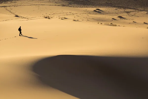 Man walking on dunes in desert — Stock Photo, Image