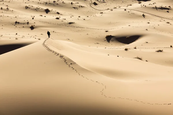 Homem caminhando sobre dunas no deserto — Fotografia de Stock