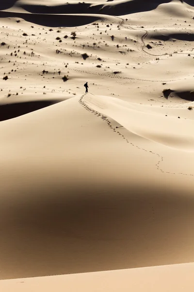 Man walking on dunes in desert — Stock Photo, Image