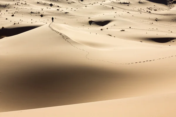 Homem caminhando sobre dunas no deserto — Fotografia de Stock