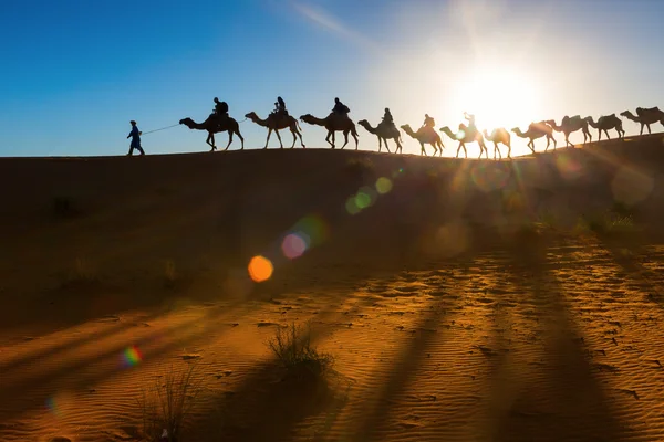 Camel caravan going through the desert — Stock Photo, Image