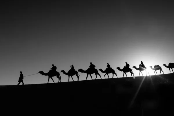 Velbloudí karavana jde přes poušť — Stock fotografie