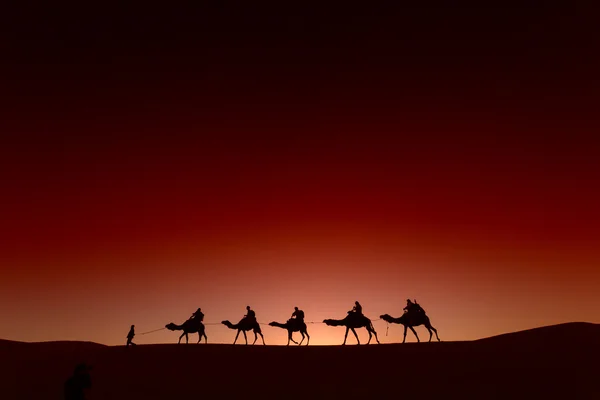 Караван верблюдов, идущих через пустыню Стоковое Фото