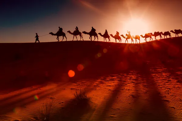 Караван верблюдов, идущих через пустыню Стоковое Изображение