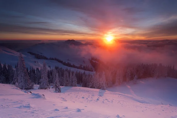 Hiver lever de soleil coloré sur les nuages avec des sapins pleins de neige — Photo