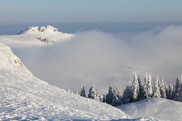 Wintersonnenaufgang über den Wolken mit Tanne voller Schnee — Stockfoto