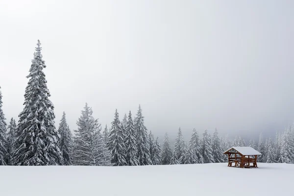 Refugio en montaña con bosque en invierno — Foto de Stock