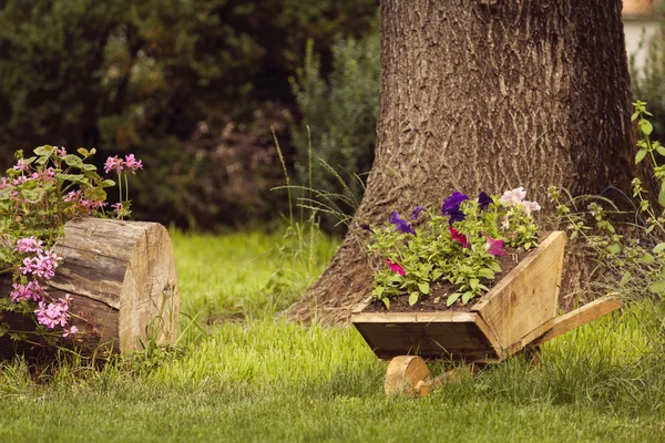 Идиллический сад со старым деревянным картонным покрытием — стоковое фото