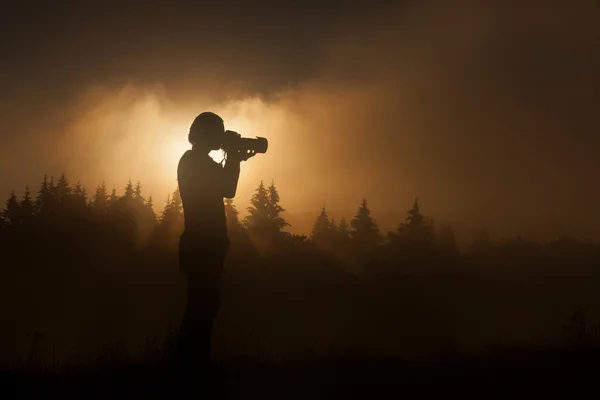 Silhueta de mulher fotógrafa tirar fotos na floresta com fo — Fotografia de Stock