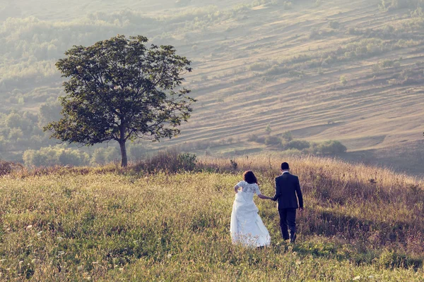 Casal jovem segurando perto de uma árvore — Fotografia de Stock