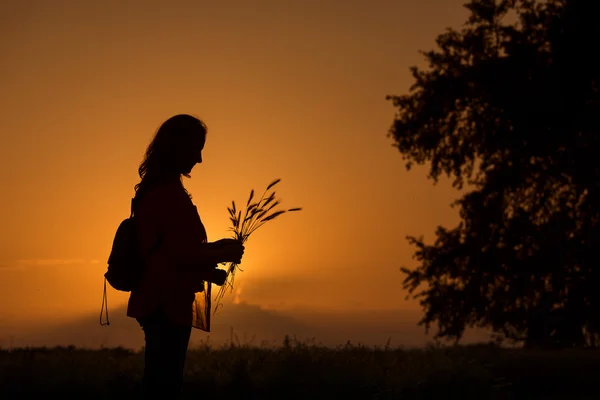Silhouette of happy travler woman on sunset with wheat in hands — Stock Photo, Image