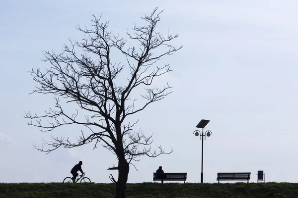 Silhueta de bicicleta desmontar uma árvore com mulher em um banco — Fotografia de Stock