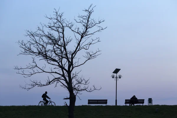 Happy couple in love on bench unde a tree in the night — Stock Photo, Image