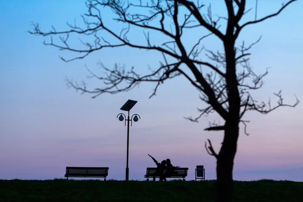 Casal feliz no amor no banco desmontar uma árvore na noite — Fotografia de Stock